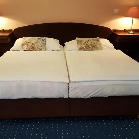 Eurohotel 3* カルロヴィ・ヴァリ